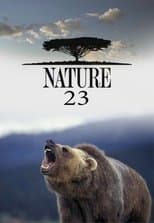 Temporada 23