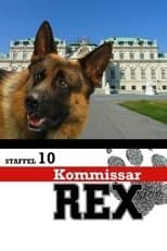 Temporada 10