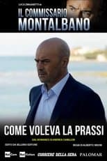 Temporada 11