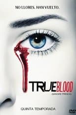Temporada 5