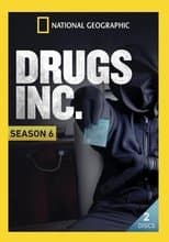 Temporada 6