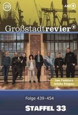 Temporada 33