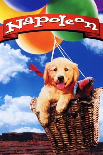 Napoleón, el perrito aventurero