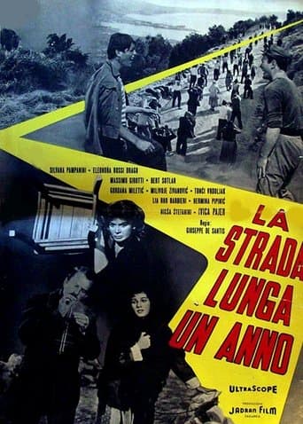 El camino de un año