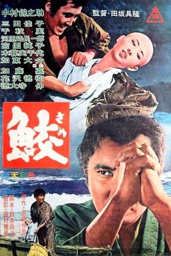 鮫