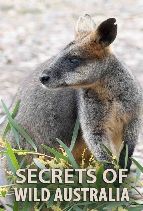 Secretos de Australia Salvaje