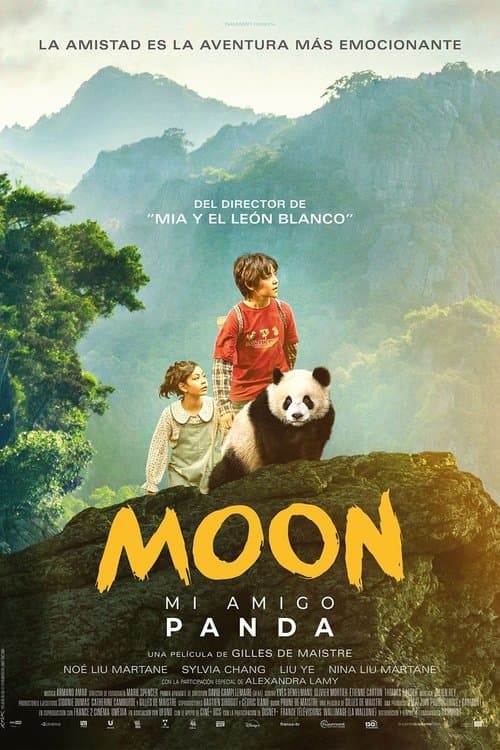 Moon, mi amigo panda