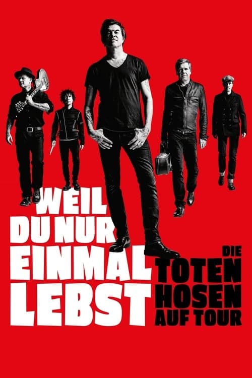 Die Toten Hosen auf Tour - Porque solo se vive una vez