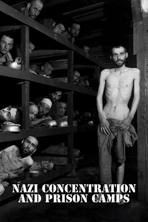 Campos de concentración nazis