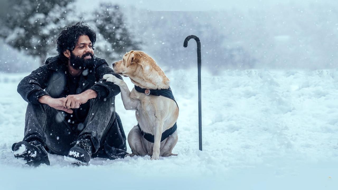 Charlie: Un Perro Especial