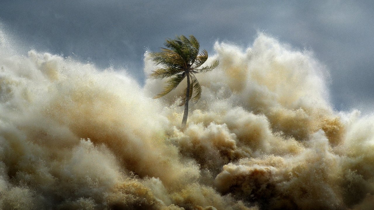 Tsunami: Carrera contra el tiempo