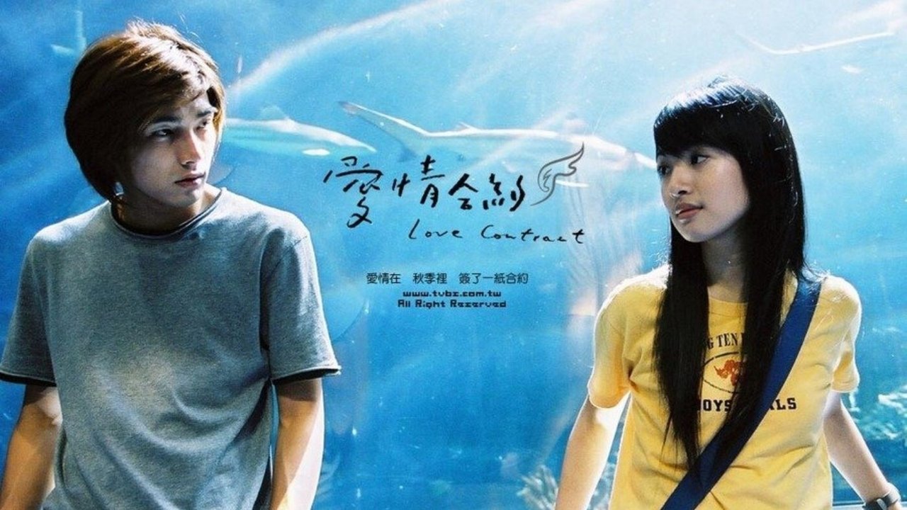 愛情合約