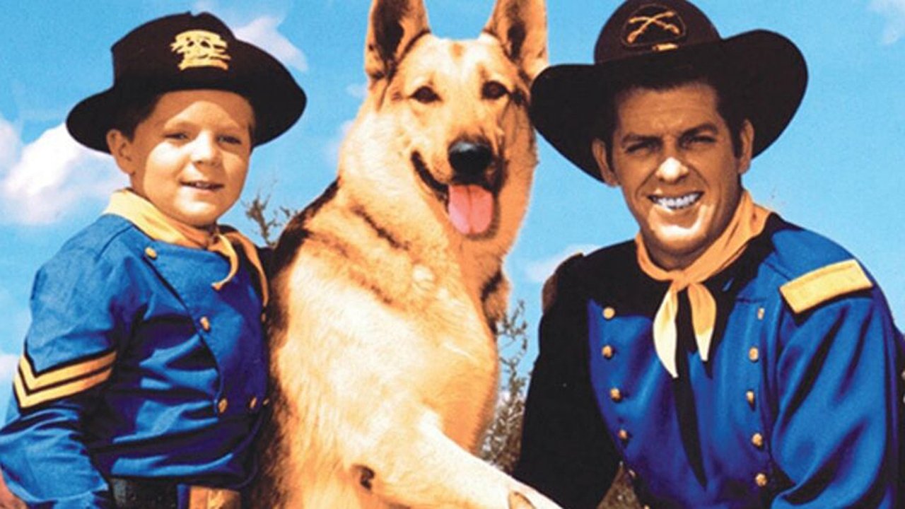 Rin Tin Tin