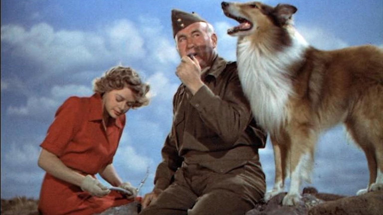 El cachorro de Lassie