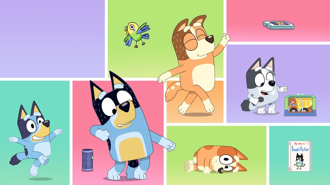 Bluey Cortos