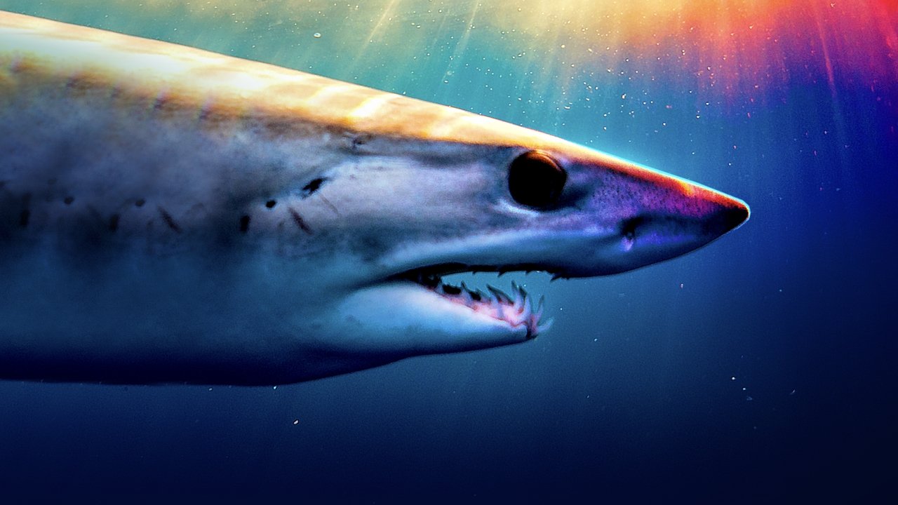 Tiburones con superpoderes