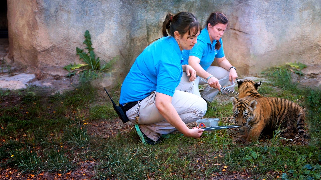 Secretos Veterinarios