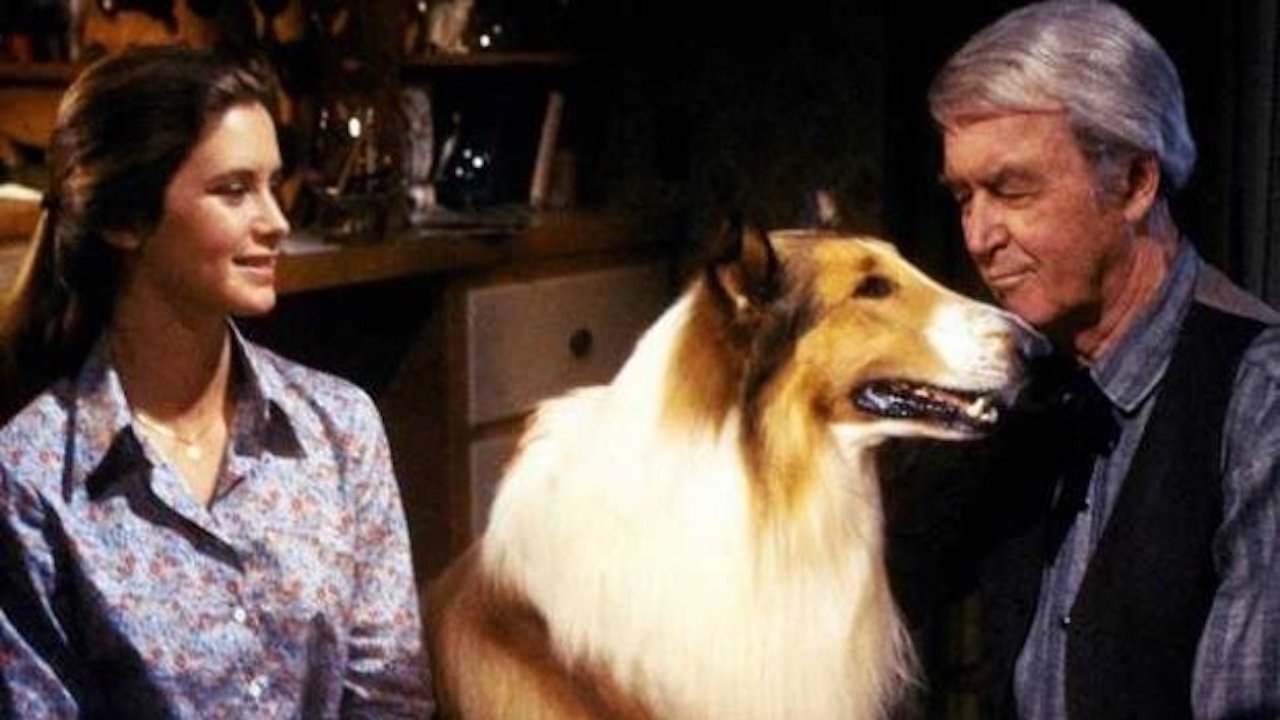 La magia de Lassie
