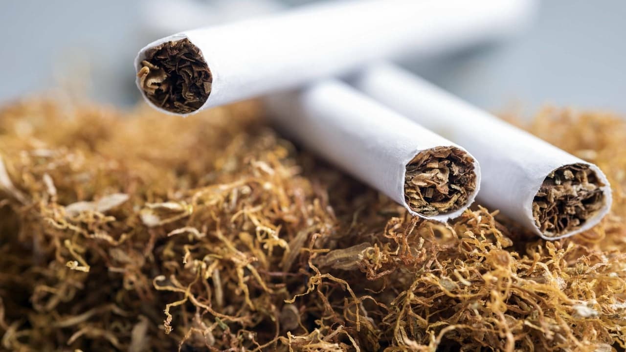 Nicotina, una droga con futuro