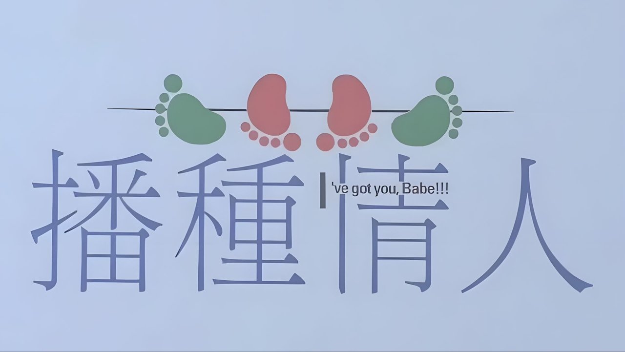 播種情人
