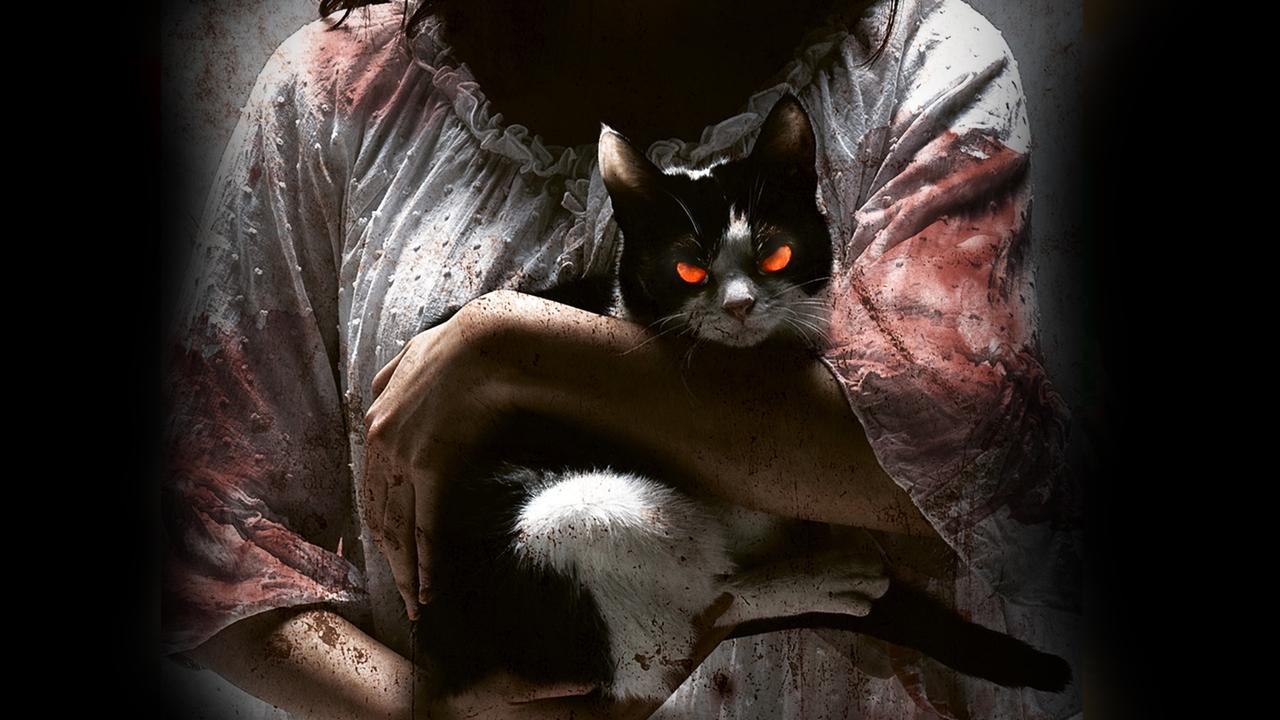 고양이: 죽음을 보는 두 개의 눈