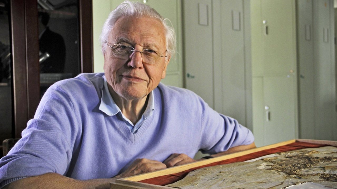 El ascenso de los animales de David Attenborough: El triunfo de los vertebrados