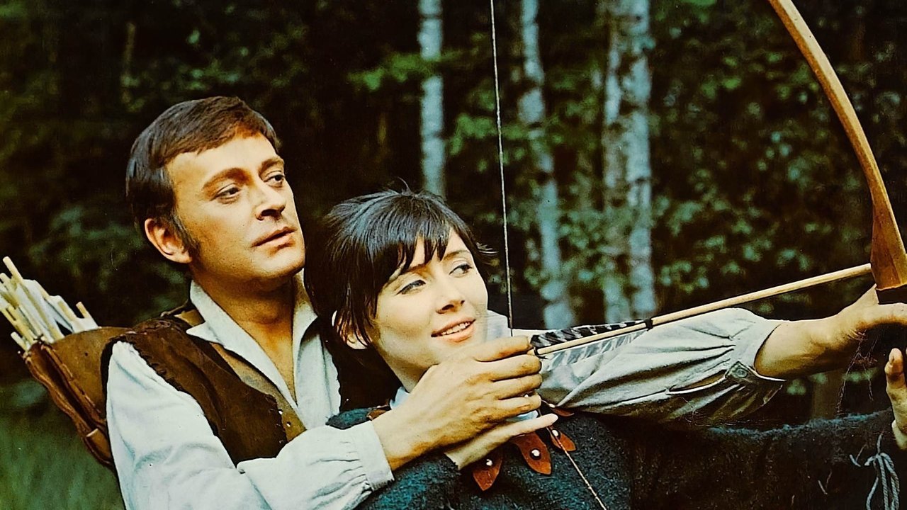 Un desafío para Robin Hood