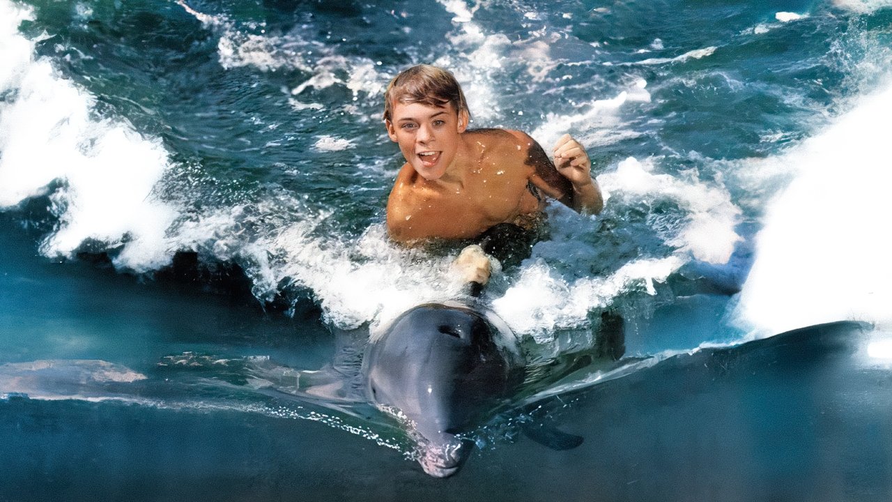 Mi amigo Flipper