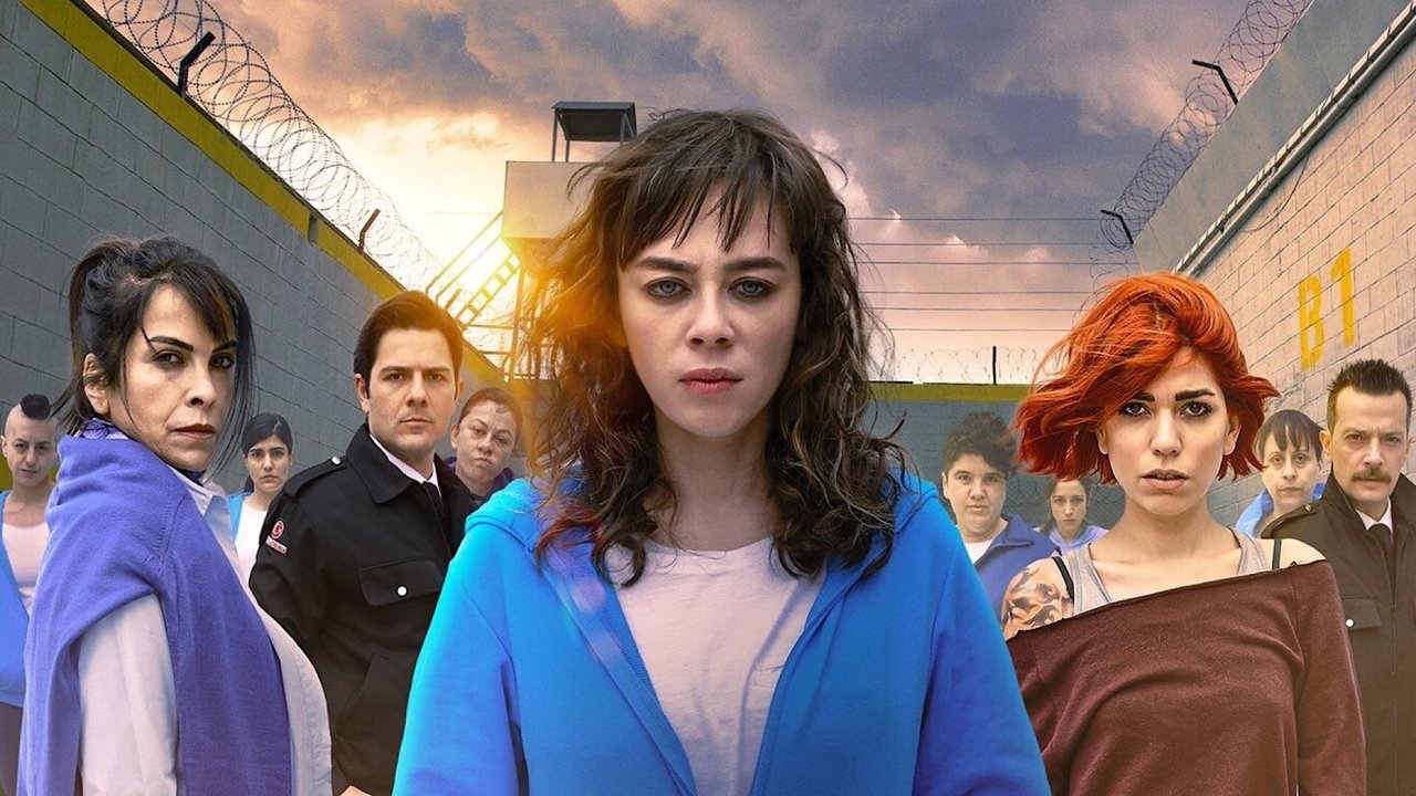 Avlu: El patio