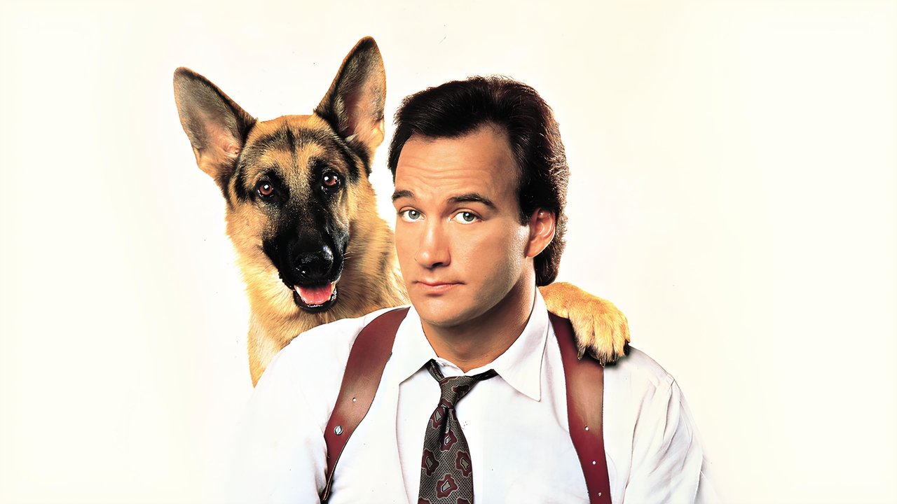 Superagente K-9