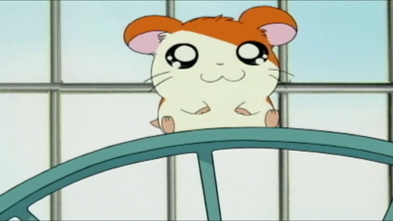 Hamtaro: pequeños hámsteres, grandes aventuras
