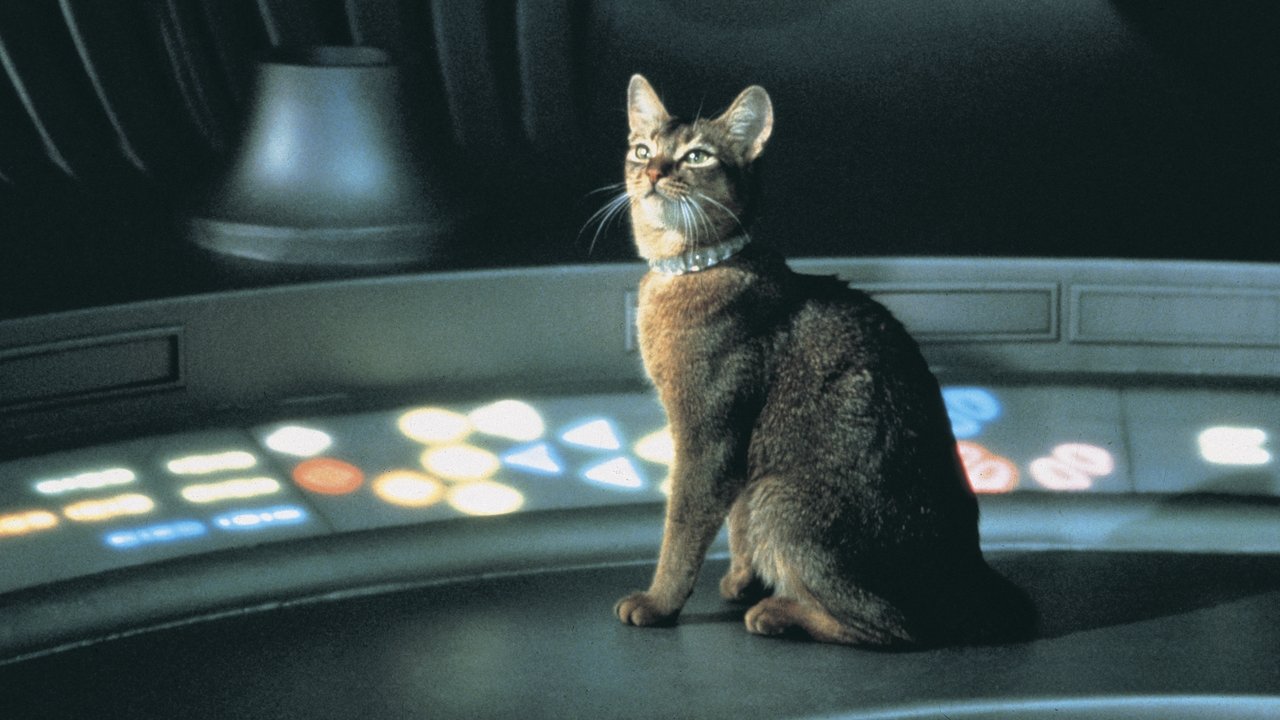El gato que vino del espacio