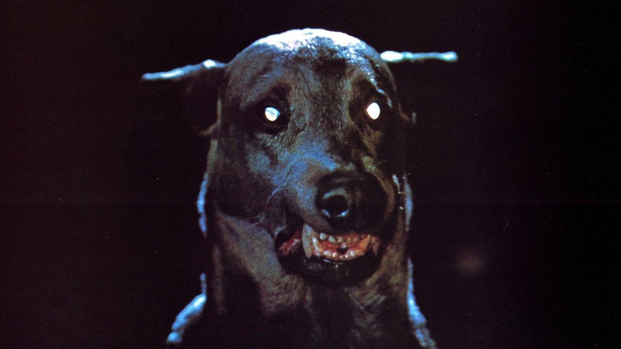 El perro de Satán (Zoltan)