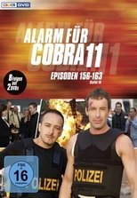 Temporada 19