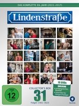 Temporada 31