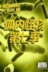 Temporada 7