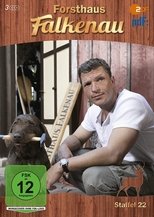 Temporada 22