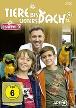 Temporada 9
