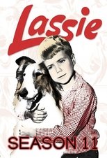 Temporada 11