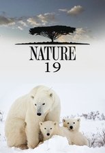 Temporada 19