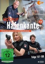 Temporada 13