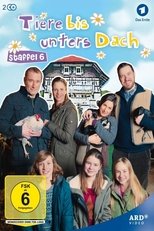 Temporada 6