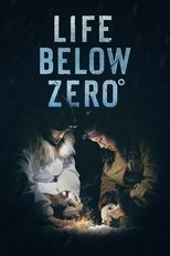 Temporada 23