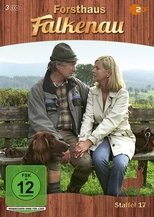 Temporada 17
