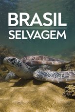 Temporada 3