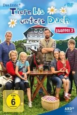 Temporada 3