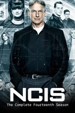 Temporada 14