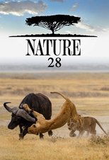 Temporada 28