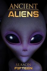 Temporada 15
