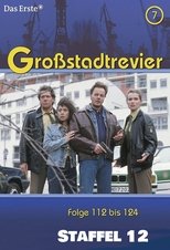 Temporada 12